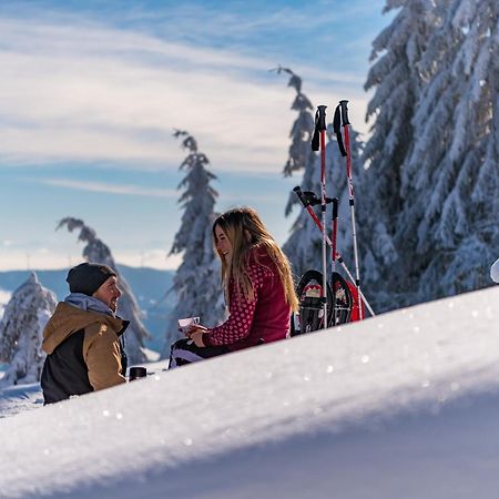 Schwarzwaldhorst Fewo 2 - Mit 4 Schlafzimmer - Todtnau, Liftverbund Feldberg Luaran gambar