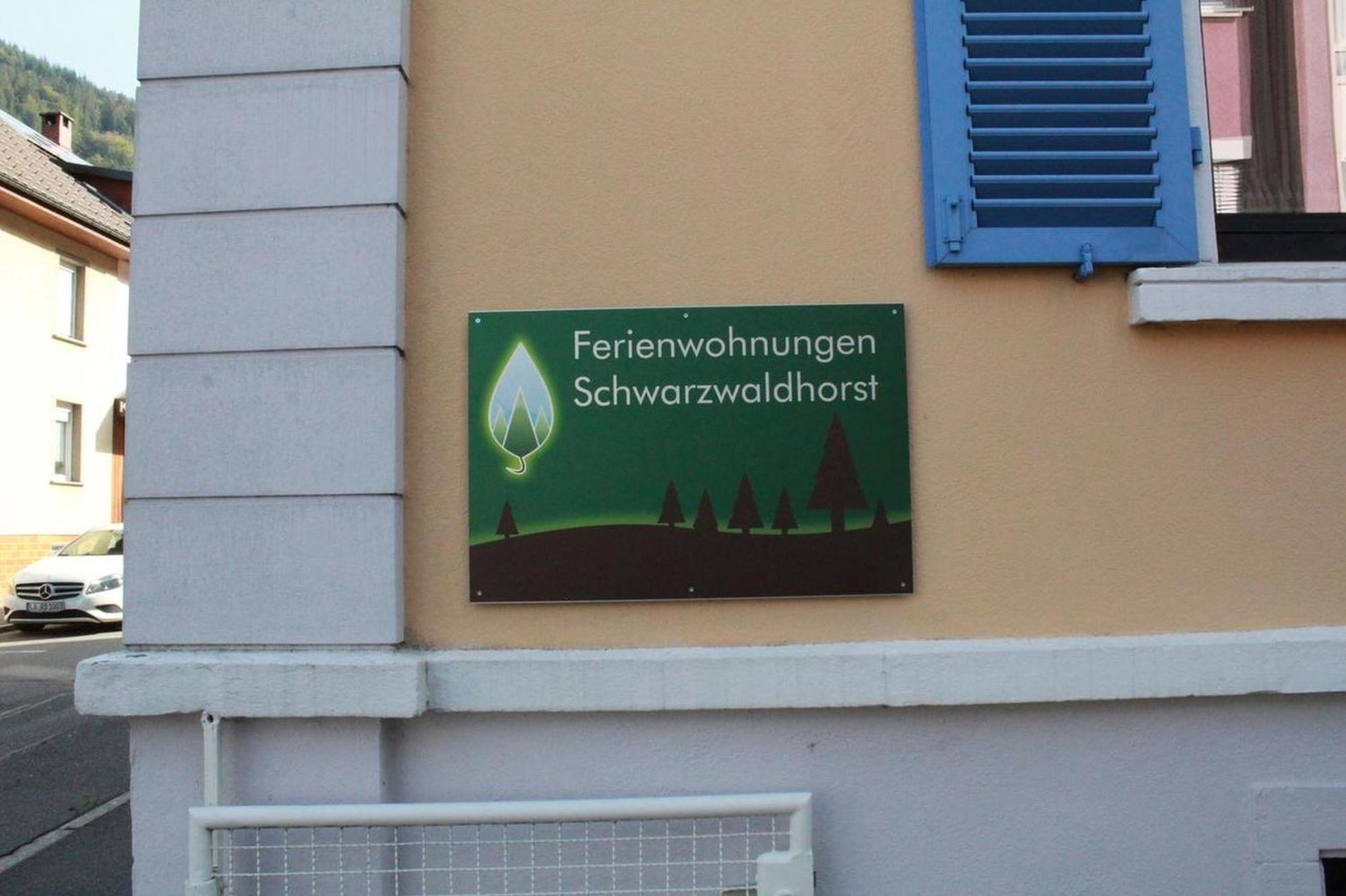 Schwarzwaldhorst Fewo 2 - Mit 4 Schlafzimmer - Todtnau, Liftverbund Feldberg Luaran gambar