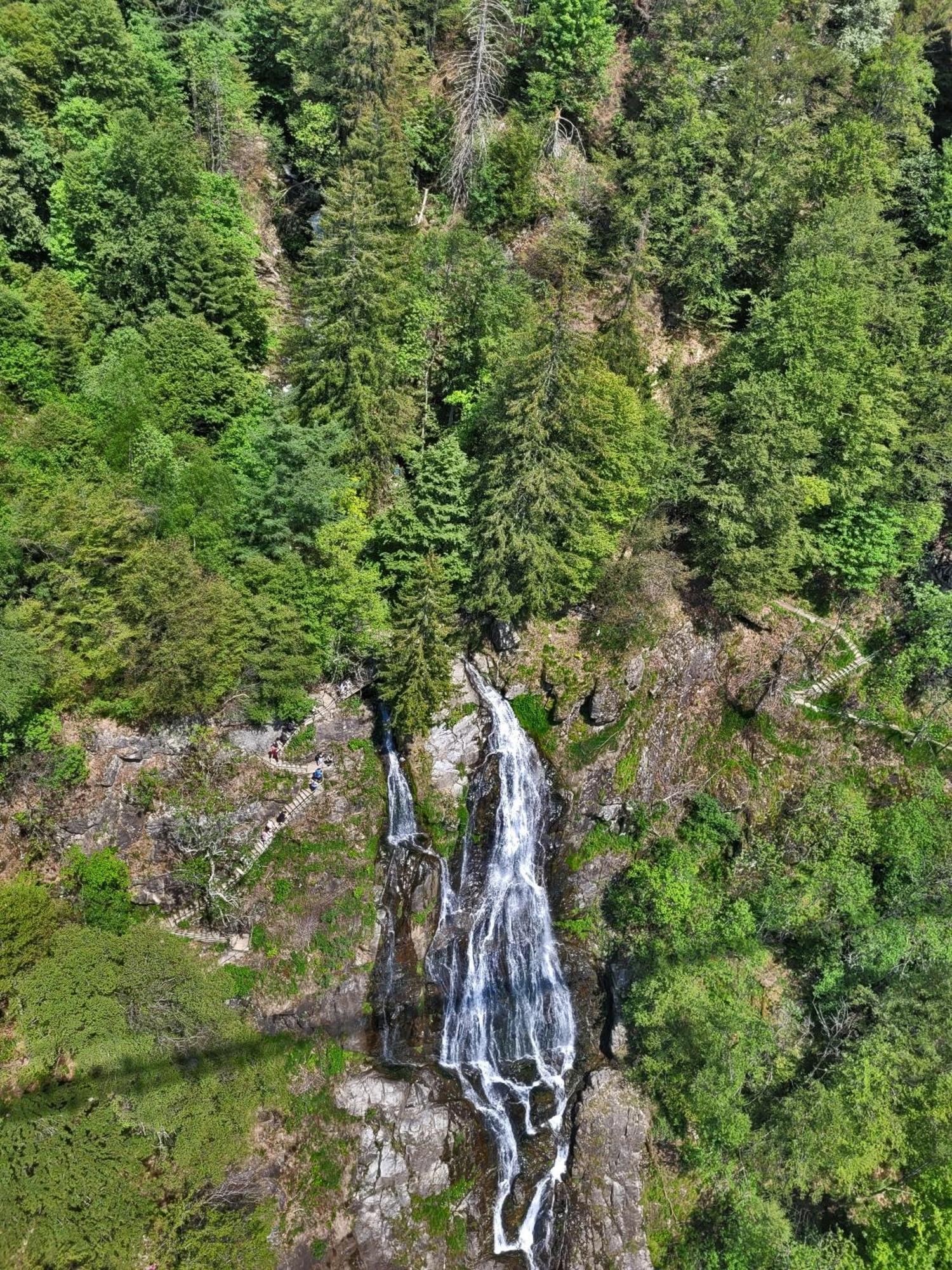Schwarzwaldhorst Fewo 2 - Mit 4 Schlafzimmer - Todtnau, Liftverbund Feldberg Luaran gambar